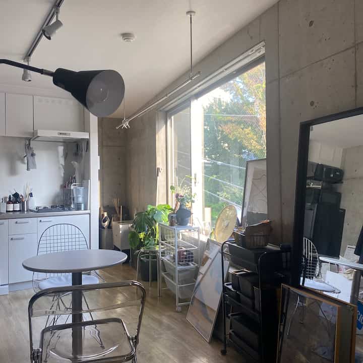 Bright white and wood-tone studio apartment kitchen and dining area with transparent chairs and plants, compact natural modern interior