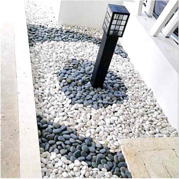 BATU HIAS KORAL PUTIH KUPANG