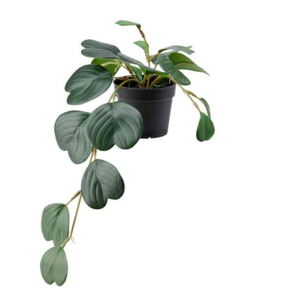 FEJKA, Tanaman tiruan dalam pot, dalam/luar ruang digantung/peperomia, 9 cm