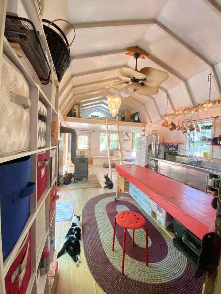 Beige and red toned compact kitchen and living area, featuring two cats and natural wood elements in a cozy interior