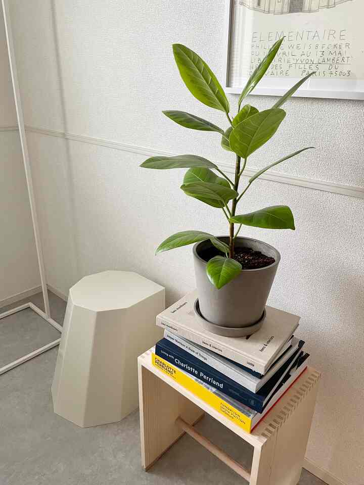 ナチュラルカラーの小さな空間、木製スツールの上に植物と本が置かれた、すっきりとしたミニマルなインテリア