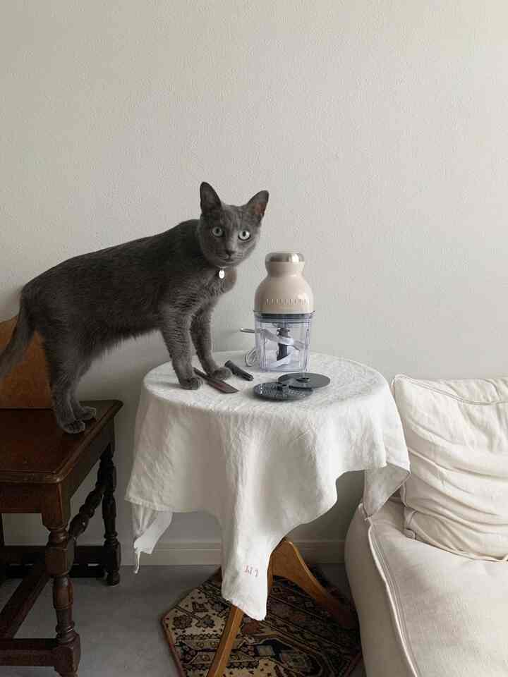 Recolto berguna untuk membuat smoothie setiap pagi.
Yang terbaik dari semuanya, mudah untuk dicuci.

#Smoothie #フードプロセッサー #ミキサー
#Peralatan rumah tangga #キッチンインテリア #キッチン家電