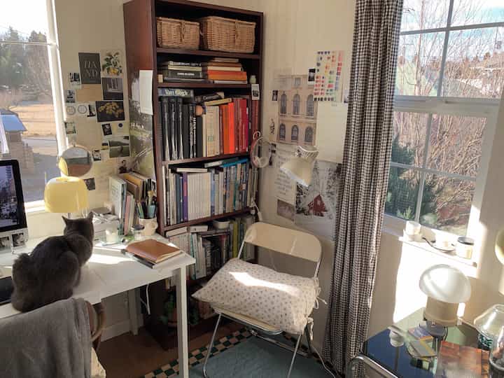 ホワイトとブラウンを基調とした書斎、書棚とデスク、猫がいる雰囲気のあるホームオフィス