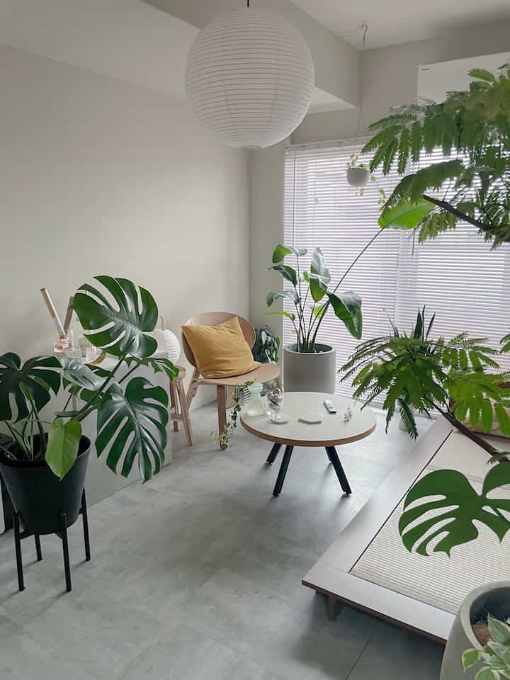 Natural-toned living room featuring wood tone chair, coffee table, and multiple plants in a simple, modern space
