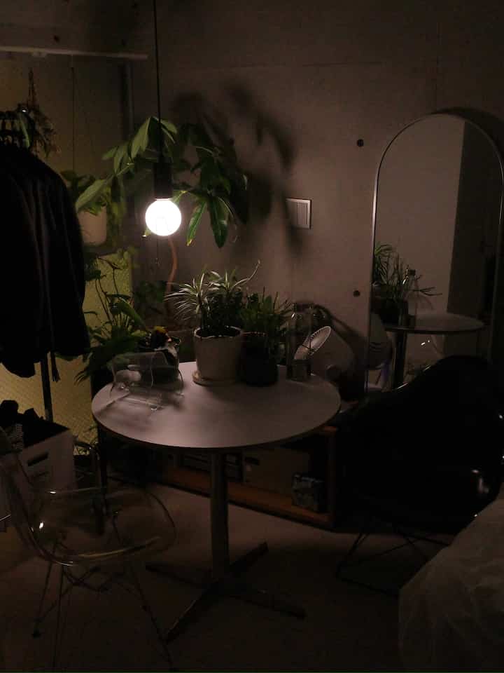 暗いペンダントライトと透明な椅子、植物が配置されたコンパクトなモダンダイニングルーム