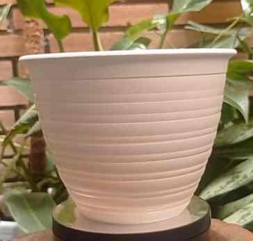 Pot Tawon / Pot Bunga