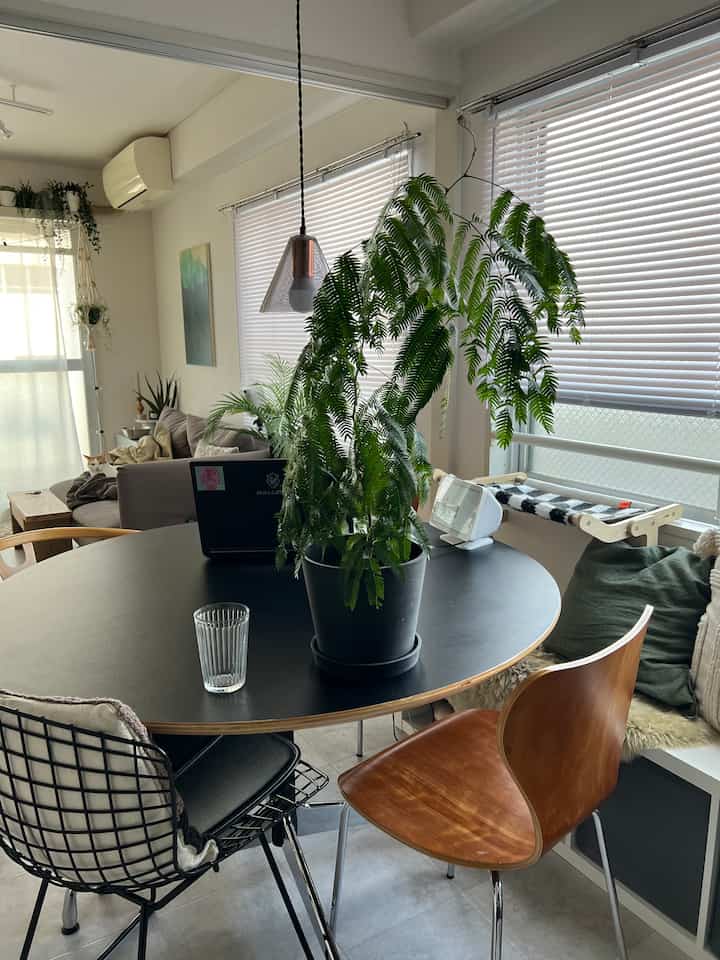 白い壁と黒の丸テーブルがあるダイニングルーム、中央に大きな緑の植物が配置された雰囲気のあるリビングスペース