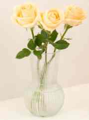 Vas Bunga Kaca - 17cm