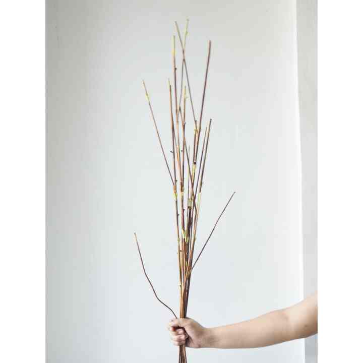 Ranting Artificial (70138)