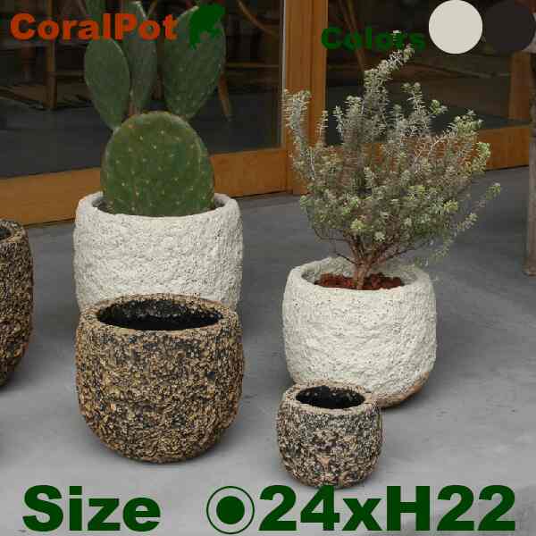 コーラル 24 Coral 陶器鉢 テラコッタ プランター