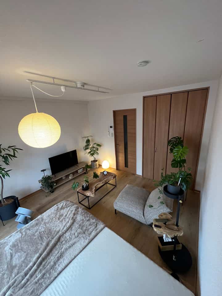 明るい木目調の床と白い壁が特徴のモダンでナチュラルなリビング兼寝室、中央に大きなペンダントライトと複数の植物が配置された印象的な空間