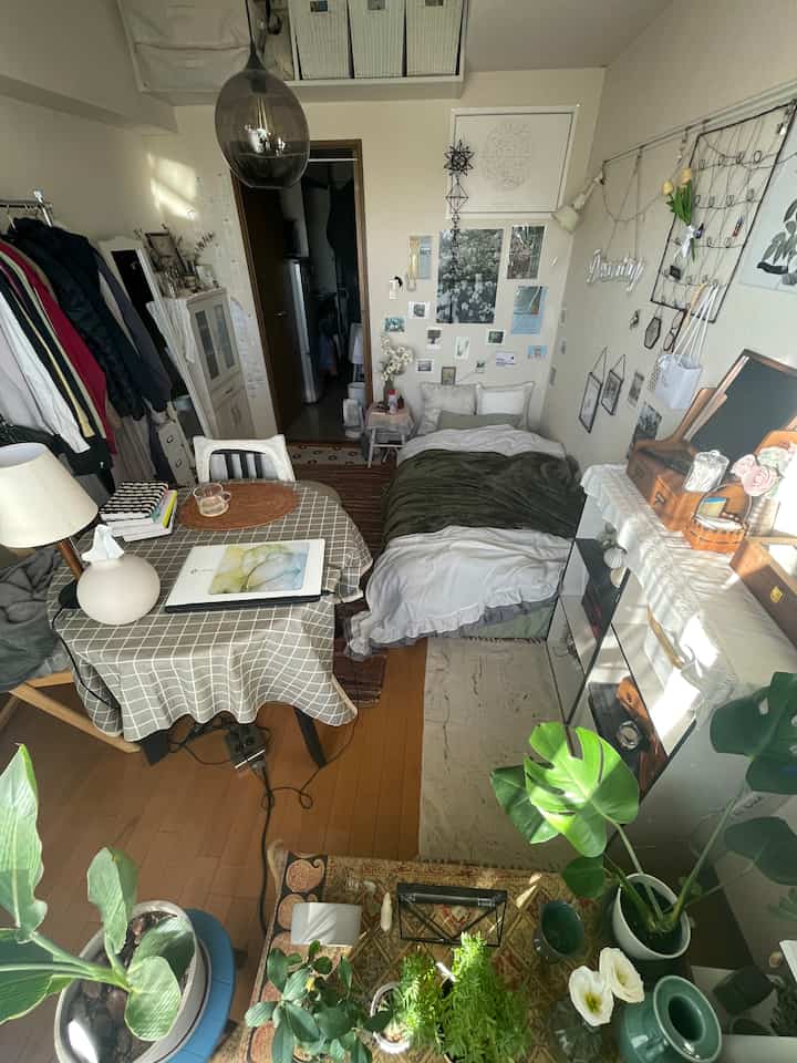 Wood tone and plants dominate a small single-occupant bedroom, creating a natural and cozy studio apartment space
