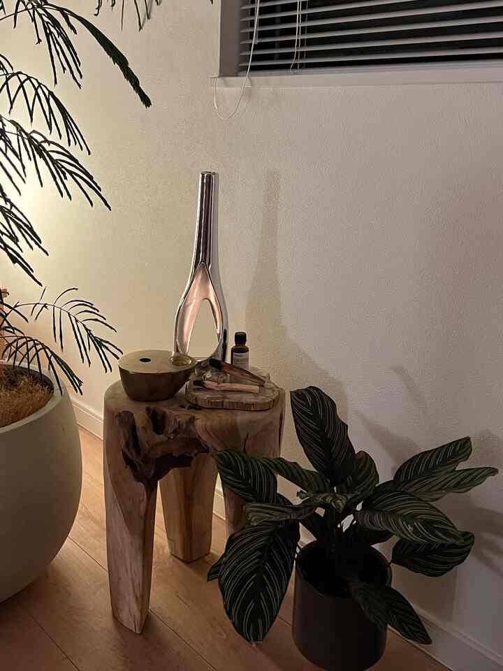 Natural dining space with white walls, wood-tone flooring, side table holding aroma lamp and plants creating cozy ambiance