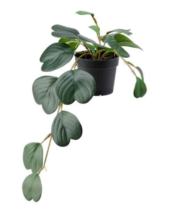 FEJKA Tanaman tiruan dalam pot 9 cm - Peperomia