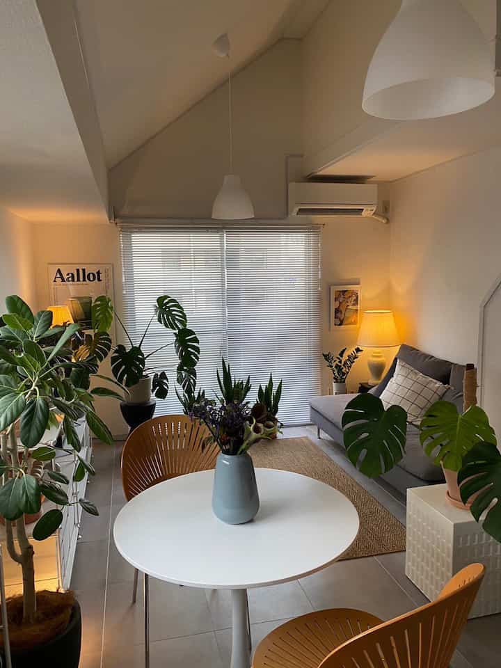 ナチュラルな色調のベランダ空間、葉の多い観葉植物とミッドセンチュリーモダンのソファ、ペンダントライトが配置された雰囲気のあるインテリア