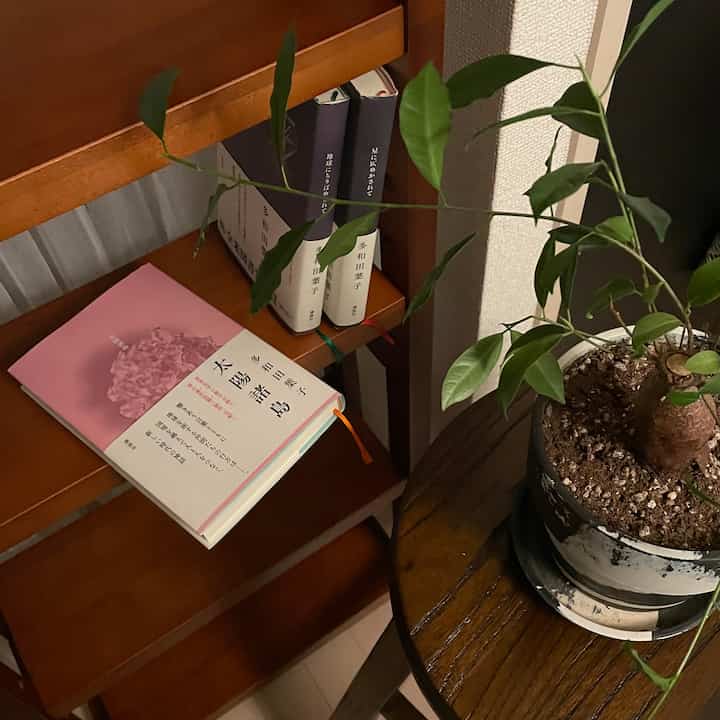 温かみのある木目調の本棚と丸テーブルにナチュラルな植物が置かれた、こぢんまりとした印象的な空間