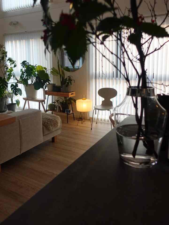 Natural tone living room featuring wood-tone floor, beige sofa, and various plants creating a cozy atmosphere