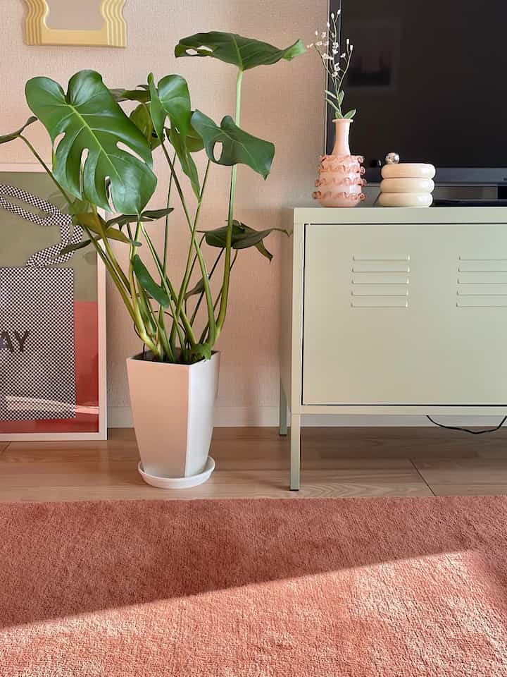Natural wood tone flooring with light green cabinet and large plant in a warm, modern living room