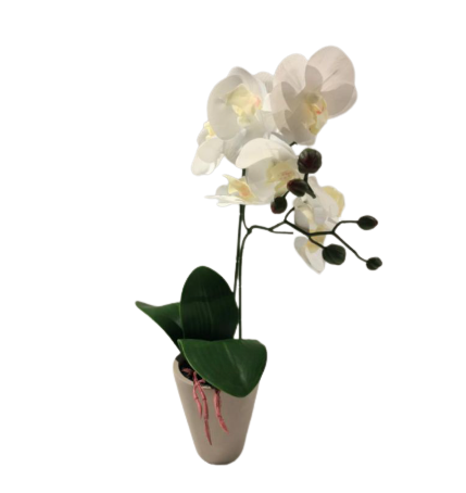 Tanaman hias aritifisial