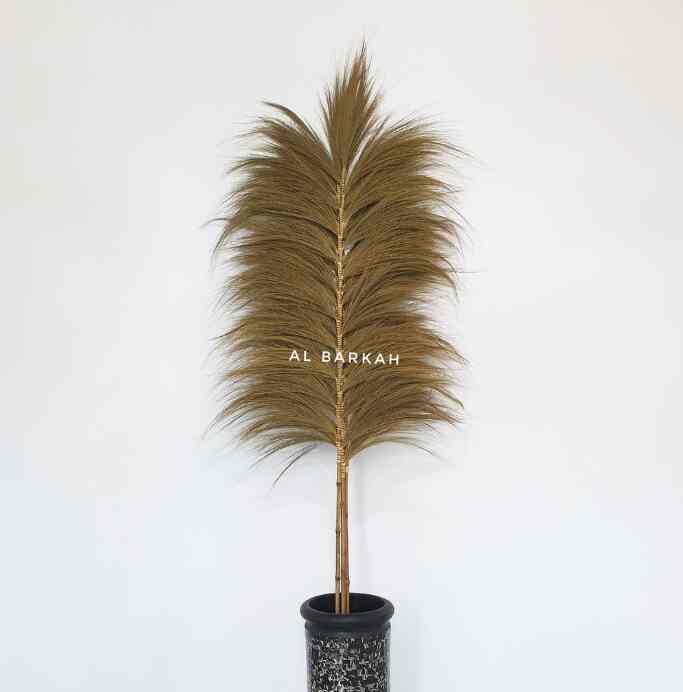 pampas rayung stick kering