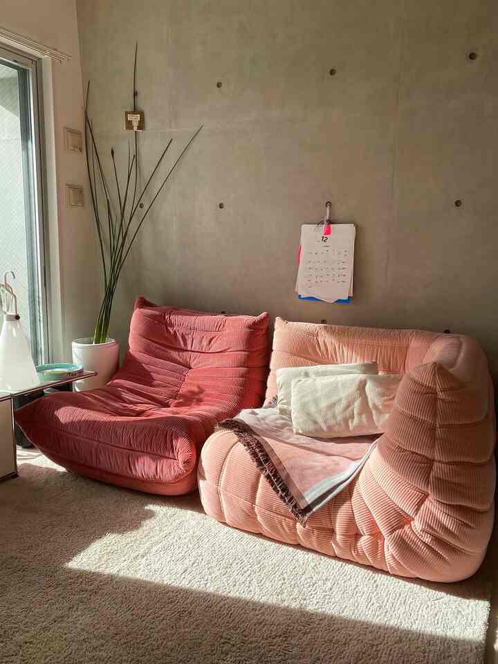 直射日光あつい〜

#リーンロゼ #ligneroset #usmハラー #ソファ #カーペット #ラグ #ピンクのインテリア #カラフルなインテリア 