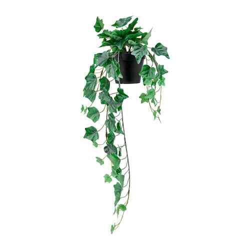 FEJKA - Artificial potted plant, in/outdoor/hanging ivy, 12 cm