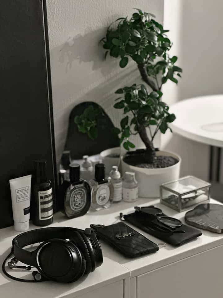 White-toned entrance space featuring a plant, headphones, and minimalist organized accessories