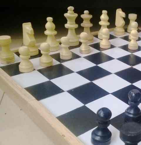 Chess Catur Jumbo 50x50cm