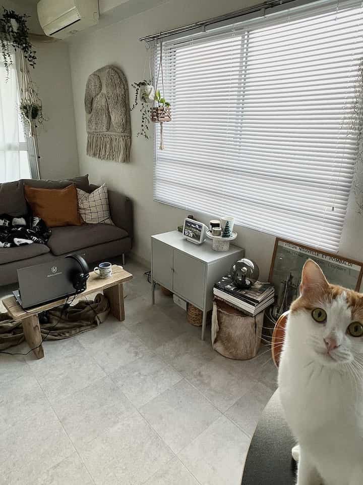 Natural-toned 6-tatami living room featuring gray sofa, wood furniture, and a cat in a cozy atmosphere