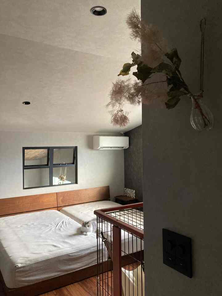 Gray-toned bedroom featuring wood tone beds, a cat resting on the mattress, and a pet cage, creating a natural and cozy atmosphere