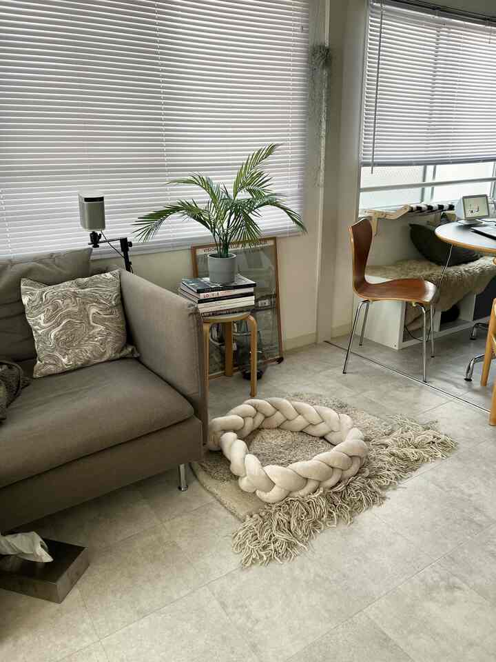 Beige and gray toned living room featuring sofa, plant, and braided cat cushion arranged in a cozy natural atmosphere