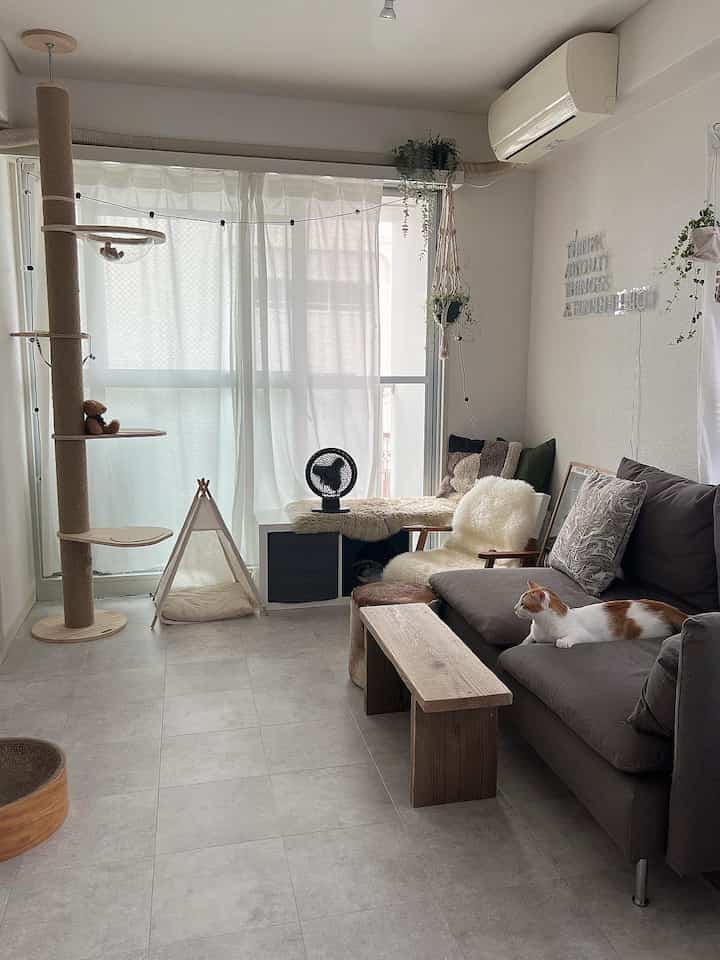 Bright beige and gray toned 1LDK living room featuring a sofa and cat tower with cozy atmosphere