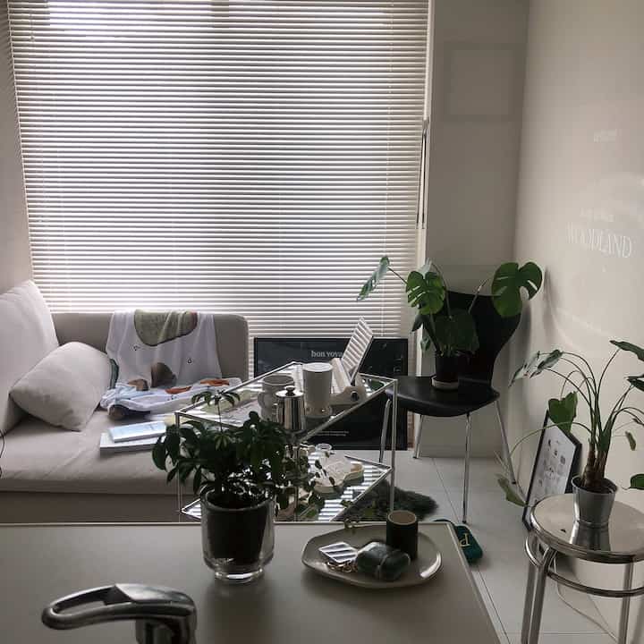 White and brown toned kitchen view into a natural living room featuring sofa and plants with cozy atmosphere