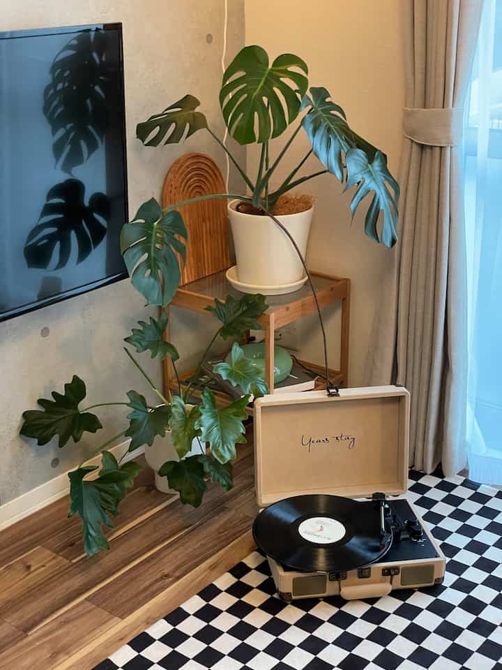 Saya suka kombinasi tanaman dan barang-barang ini 🫶
Tanaman favoritku akhir-akhir ini adalah Monstera, Serome, dan walaupun tidak digambarkan di sini, menurutku yang berdaun besar seperti Augusta. #チェックラグ #レコードプレーヤー #クッションフロア #壁紙diy #賃貸diy #diy #リビングルームのインテリア
