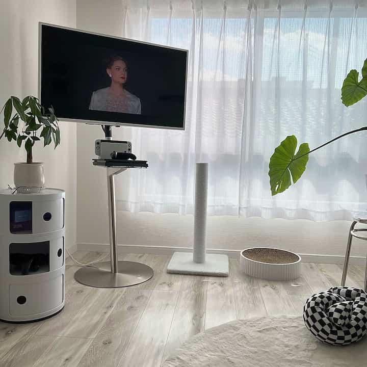 白と木目調のリビング、テレビ台と猫の爪とぎが配置された印象的な空間