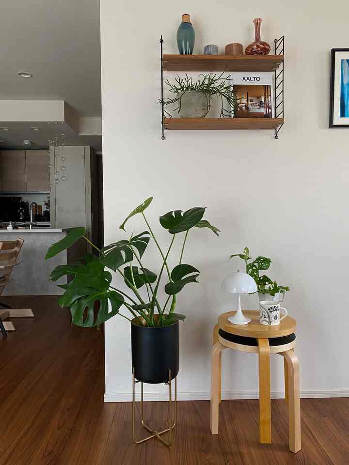 ナチュラルカラーと木目調のリビングコーナー、木のスツールと緑豊かな植物が配置された印象的な空間