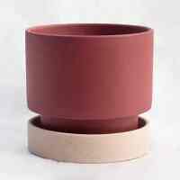 PARADOC 植木鉢 インテリアポット 6号