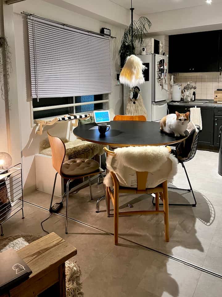 白と黒のトーンのダイニングルーム、ナチュラルな木製椅子とダイニングテーブルが配置されたモダンで落ち着いた雰囲気のインテリア、猫とペット用家具が見える
