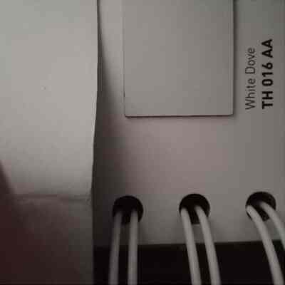 HPL TH-016 AA White Dove