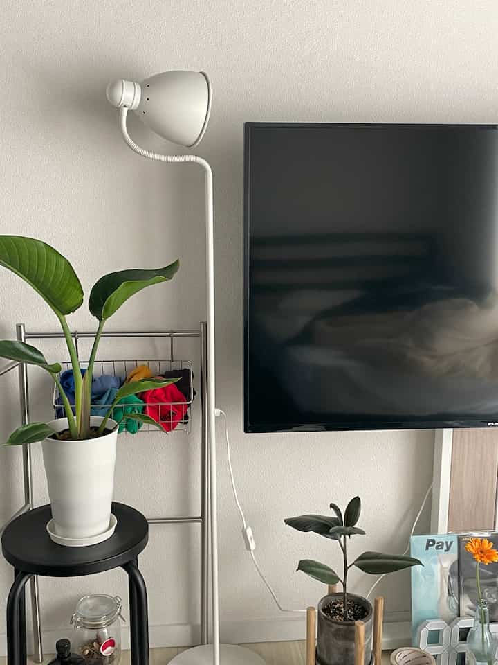 白と黒のトーンのリビング、白いフロアランプと大型の観葉植物が配置された清潔感のあるインテリア