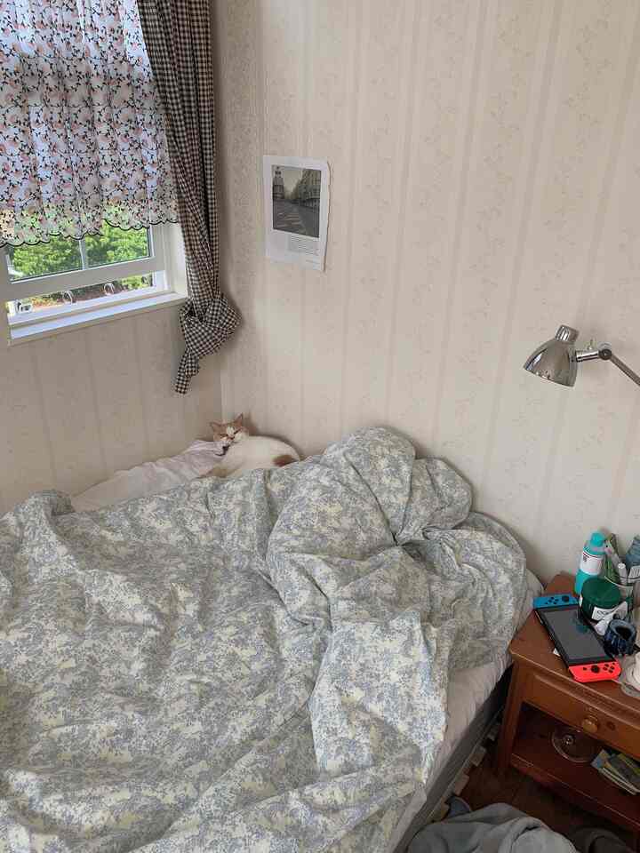 ヴィンテージ調の寝室、花柄の掛け布団と枕が配置された居心地の良い空間で猫が休んでいる