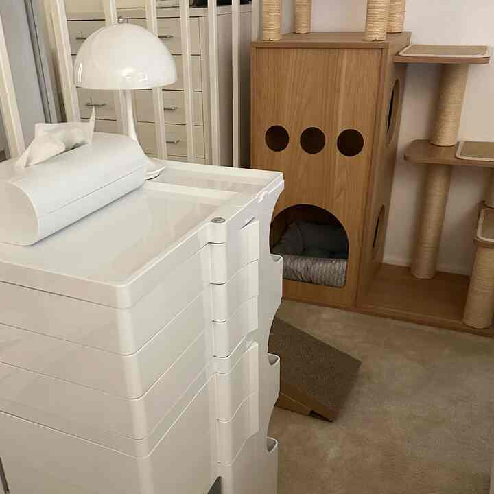 <span data-sheets-root="1" style="color: rgb(0, 0, 0); letter-spacing: normal; font-size: 10pt; font-family: Arial;">Lihat dari dekat benda-benda favoritku ✨<br>Apa furnitur favoritmu?<br>#whiteinterior #cathouse #livingroomdecoration</span>