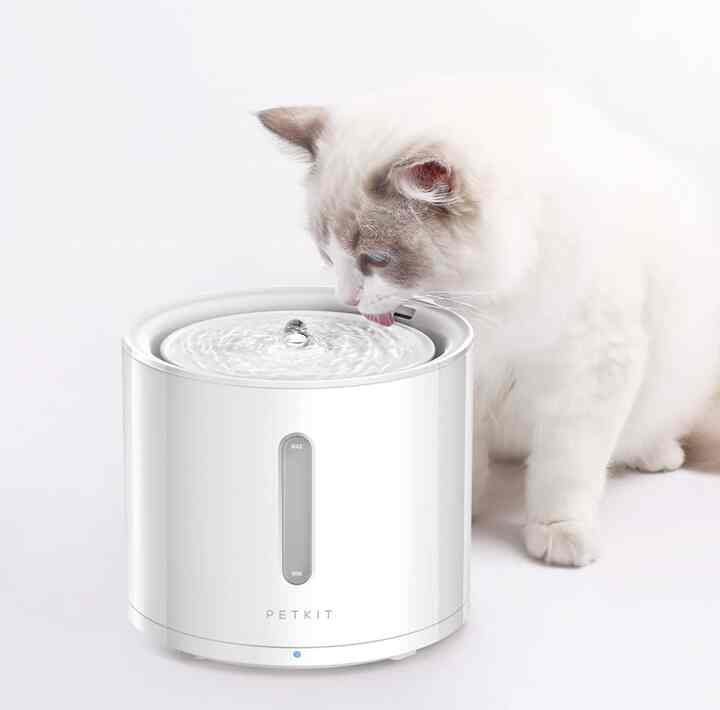 Eversweet Solo 2 Wireless Pump Water Fountain