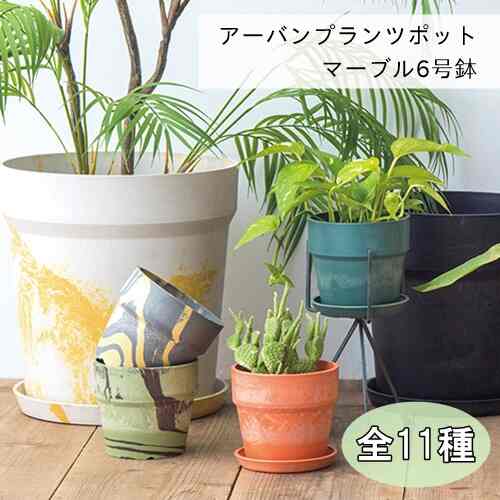 アーバンプランツポット マーブル 6号鉢