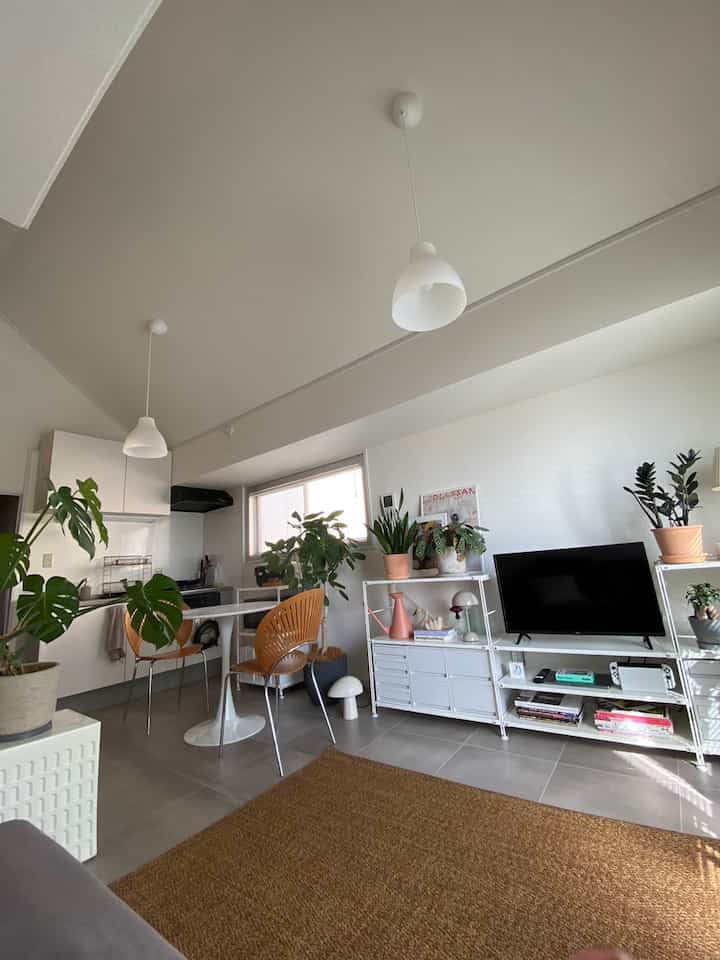 A white and brown toned living room combined with kitchen featuring Mid-Century Modern furniture and leafy plants in a cozy setting