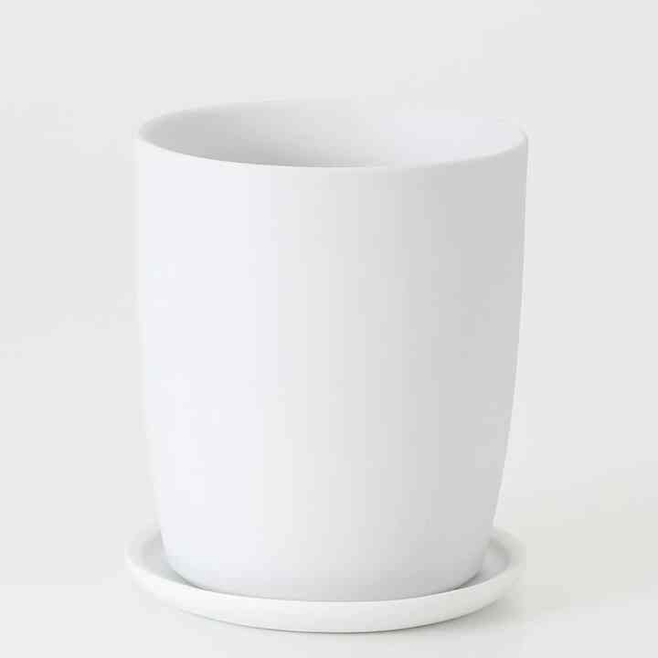 磁器鉢 植木鉢 ３号