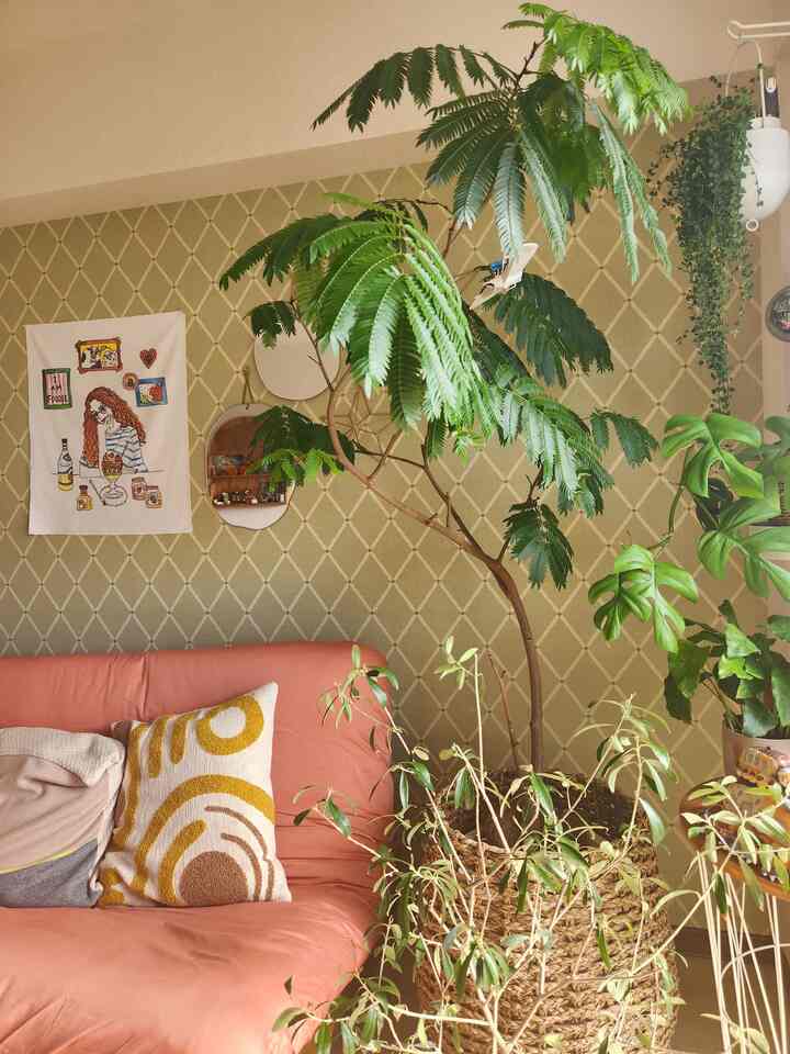 緑の植物とオレンジのソファ、クッションが配された自然な雰囲気のリビング