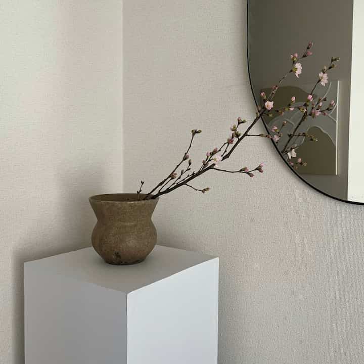 ここには桜が一番映える気がする

#zarahome #ミラー #鏡 #変形ミラー #ディスプレイボックス #焼き物 #壺 #伊賀焼 #ホワイトインテリア #ナチュラルインテリア #海外インテリア #和風インテリア #シンプルインテリア #一人暮らし #一人暮らしインテリア  #ワンルーム #ワンルームインテリア #interior #room #home
