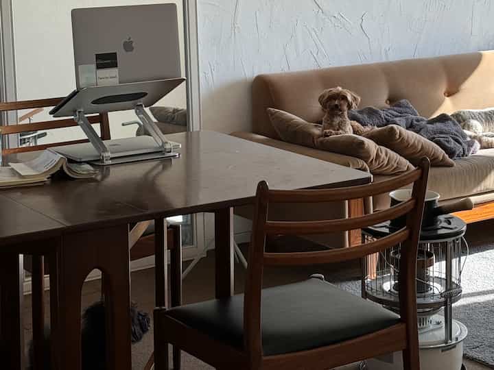 ナチュラルな色調のリビング、ベージュのソファに小さな犬が座り、木製のダイニングテーブルにノートパソコンが置かれた雰囲気のあるホームオフィス