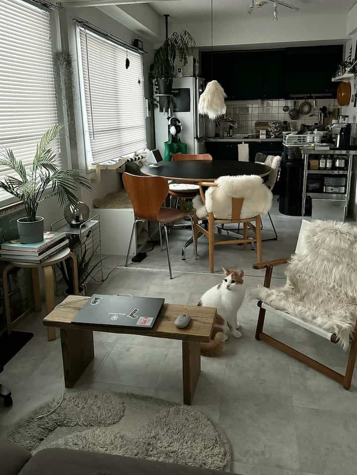 ナチュラルな木目調と黒が調和した韓国風リビング、猫と共に過ごす落ち着いた雰囲気の空間